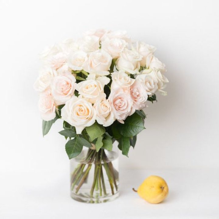 25 кремовых роз в Чебоксарах