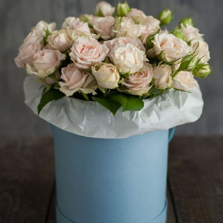 Бокс с бомбастиком в Чебоксарах