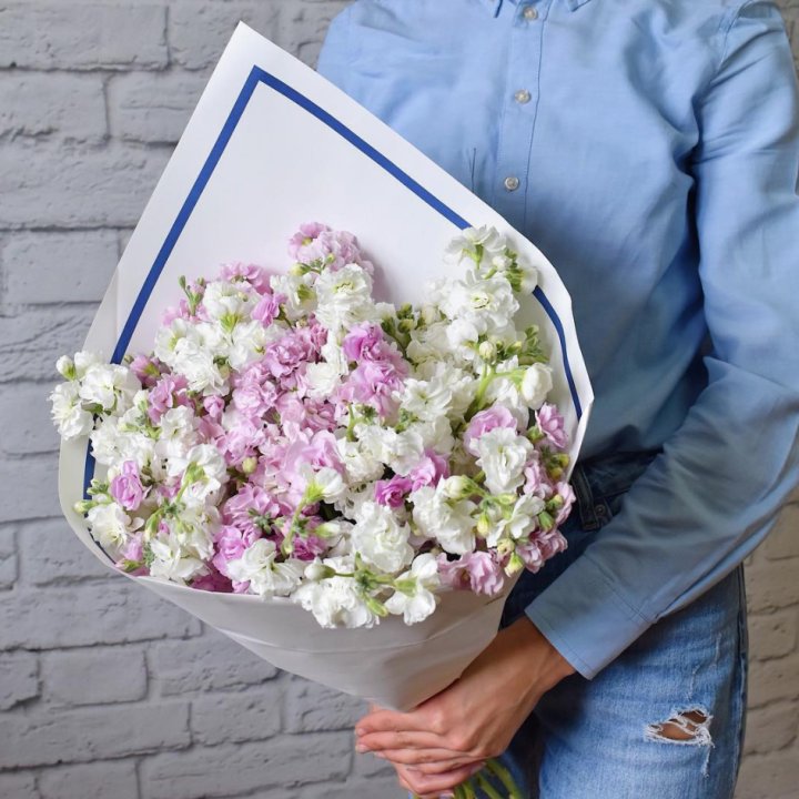 Маттиола в Чебоксарах