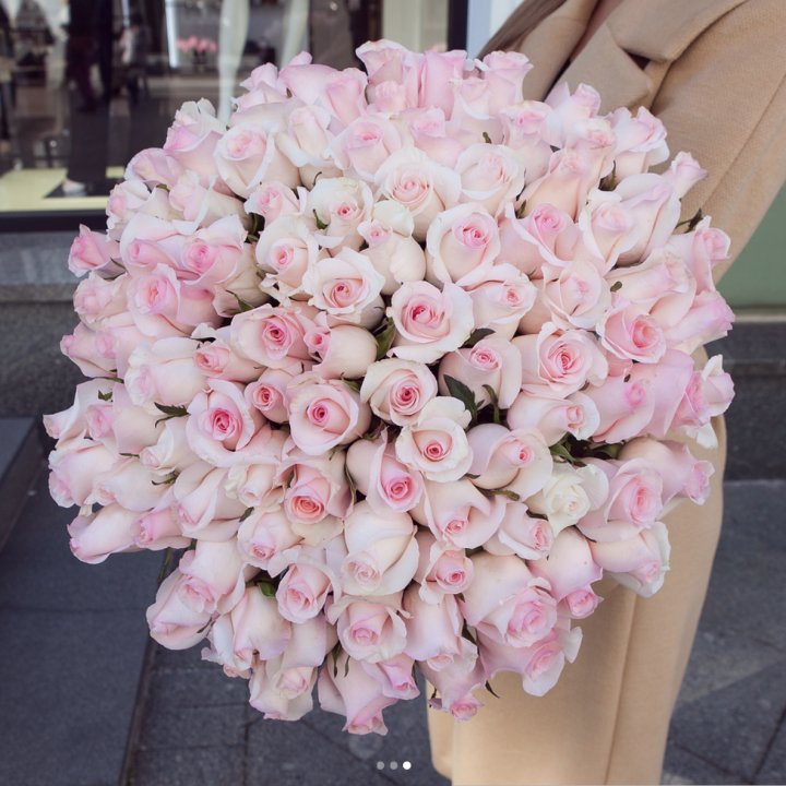 Розы "Пинк бум" в Чебоксарах