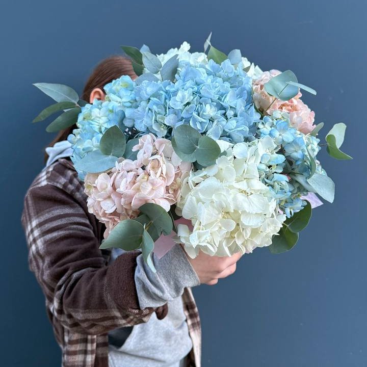 Гортензии в коробочке в Чебоксарах