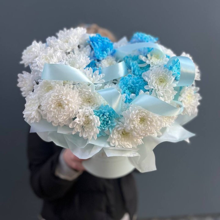 Хризнтемы в боксе в Чебоксарах