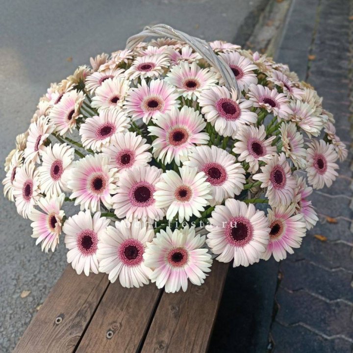 Корзина с герберами  в Чебоксарах
