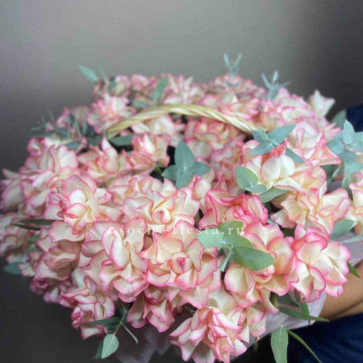 51 джумилия  в корзине   в Чебоксарах