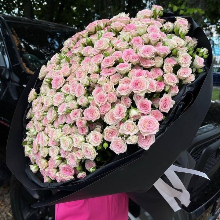 101 кустовая роза "Твистер" в Чебоксарах