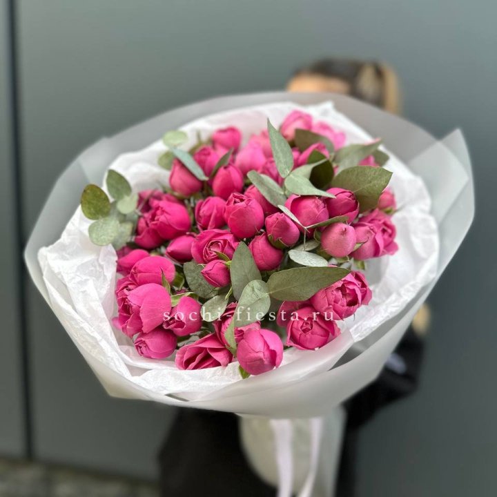 17 Мисти бабблс в Чебоксарах