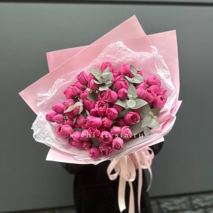 25 Мисти бабблс в Чебоксарах