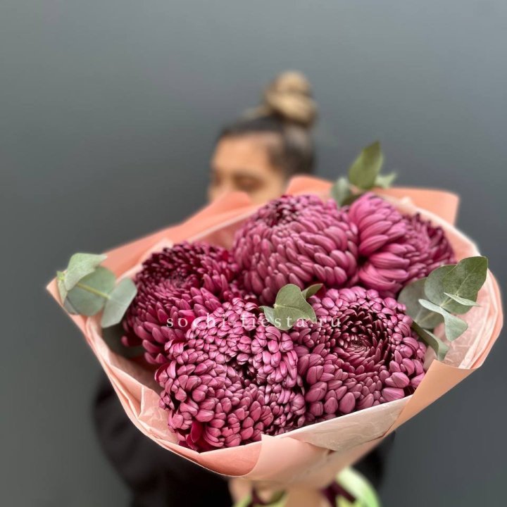 Хризантемы  Бигуди  в Чебоксарах