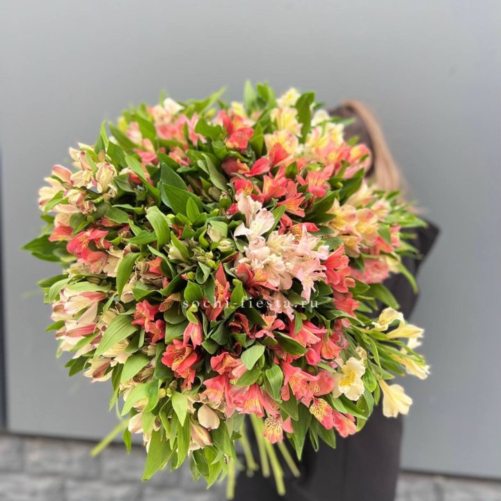 51 альстромерия в Чебоксарах