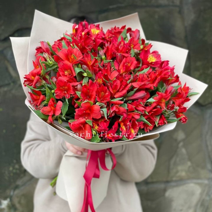 51 альстромерия в Чебоксарах