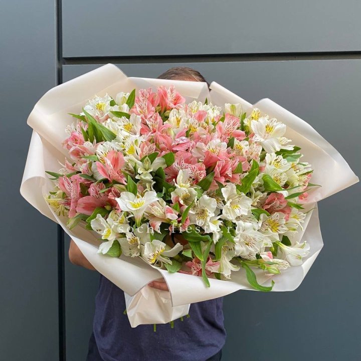 39 альстромерий в Чебоксарах