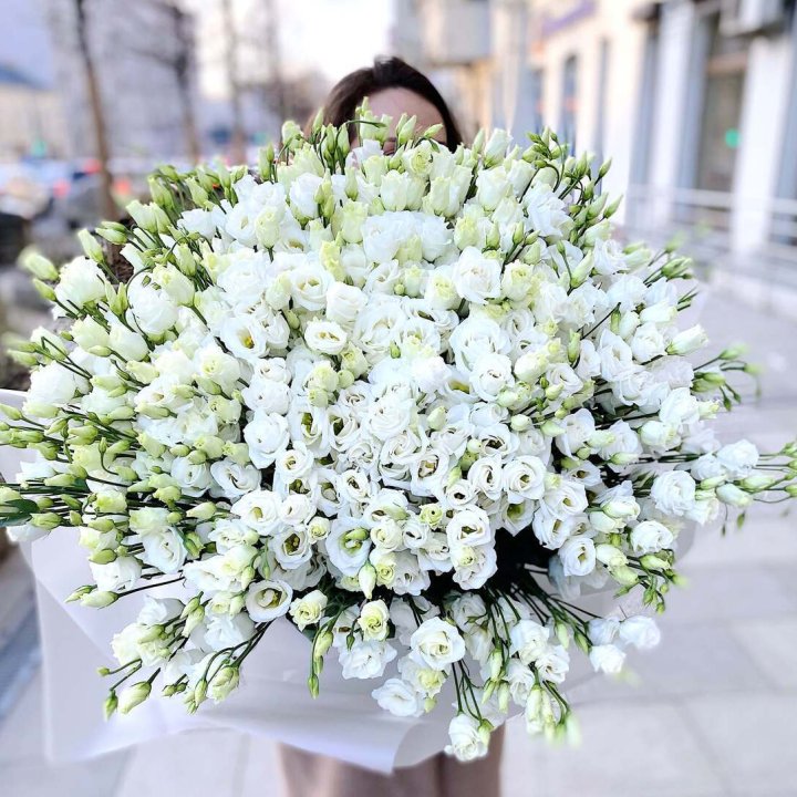 101 белая эустома в Чебоксарах