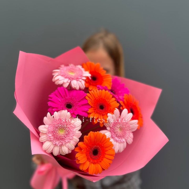 Краски в Чебоксарах