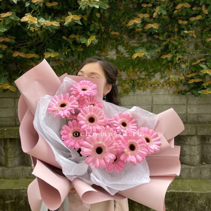 13 розовых гербер в Чебоксарах