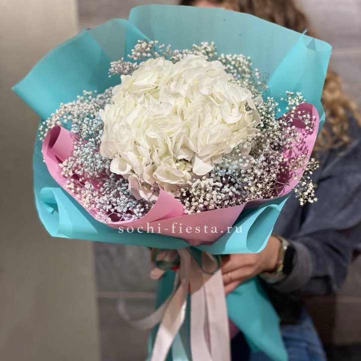 Гортензия "Райдов" в Чебоксарах