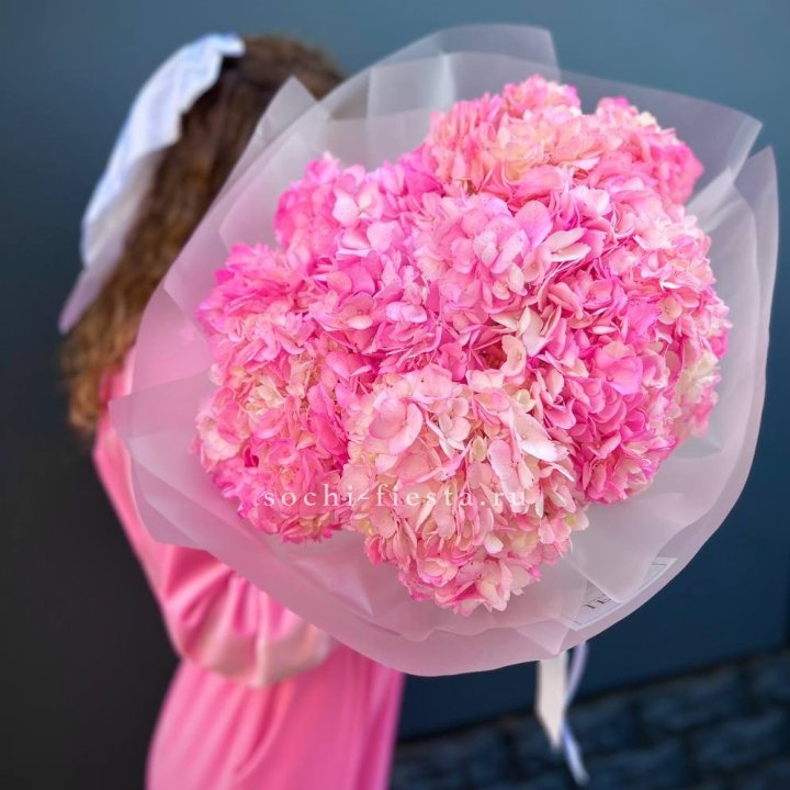 7 ярко розовых гортензий в Чебоксарах