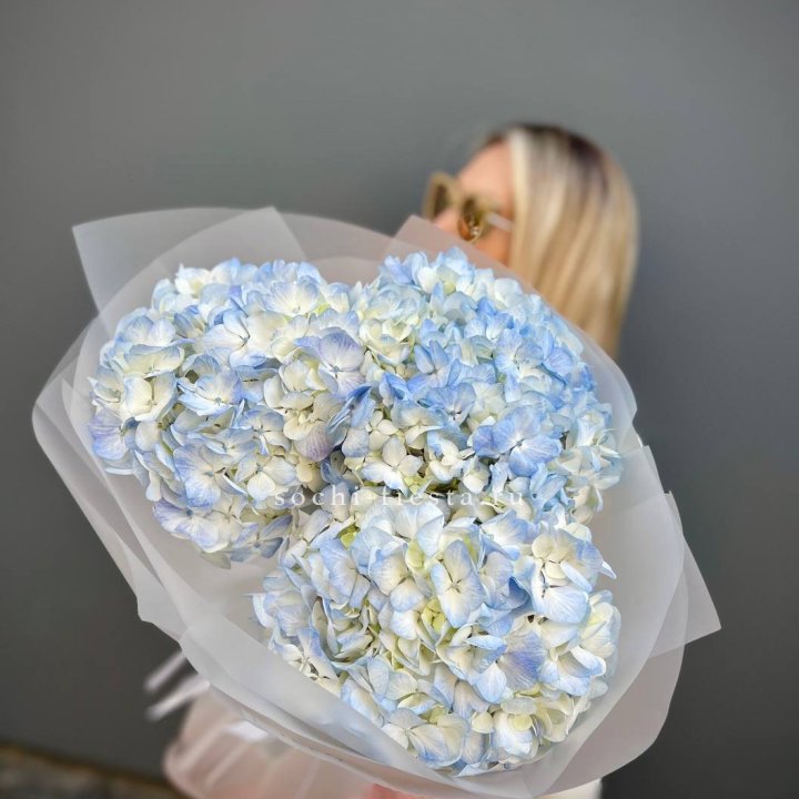 Букет из 3 голубых гортензий  в Чебоксарах