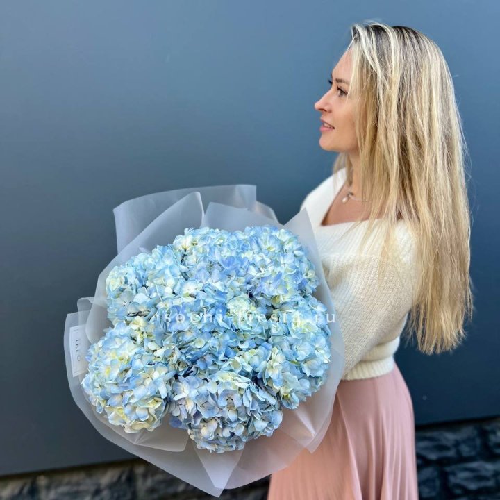 7 голубых гортензий в Чебоксарах