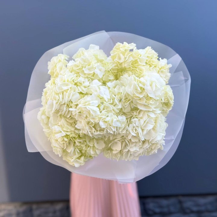 7 белых гортензий в Чебоксарах