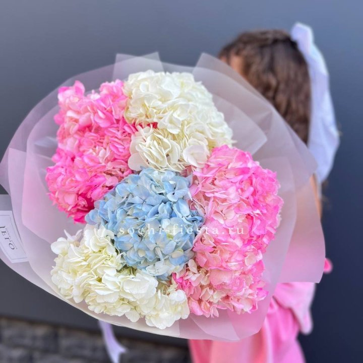 7 гортензий микс в Чебоксарах