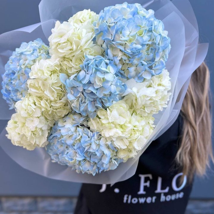 9 бело-голубых гортензий в Чебоксарах