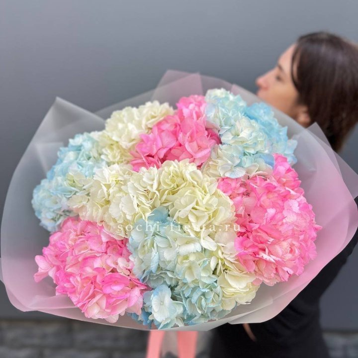 9 гортензий микс в Чебоксарах