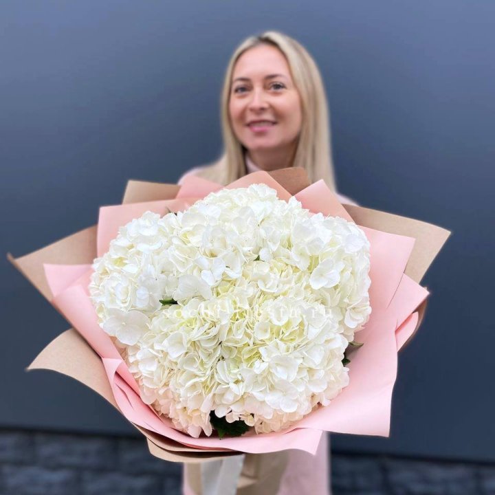 Гортензия белая в Чебоксарах