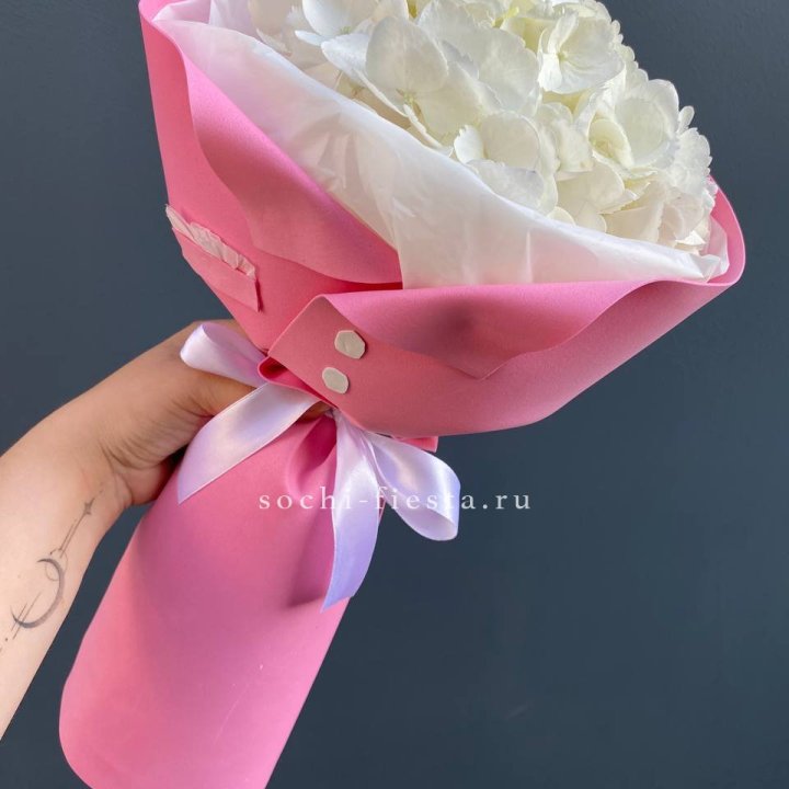 Гортензия в розовом пиджаке в Чебоксарах