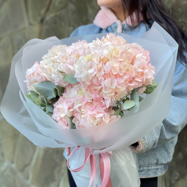 5 розовых гортензий в Чебоксарах