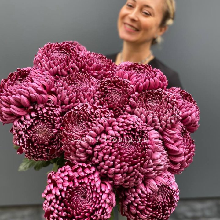 Охапка хризантем Бигуди в Чебоксарах