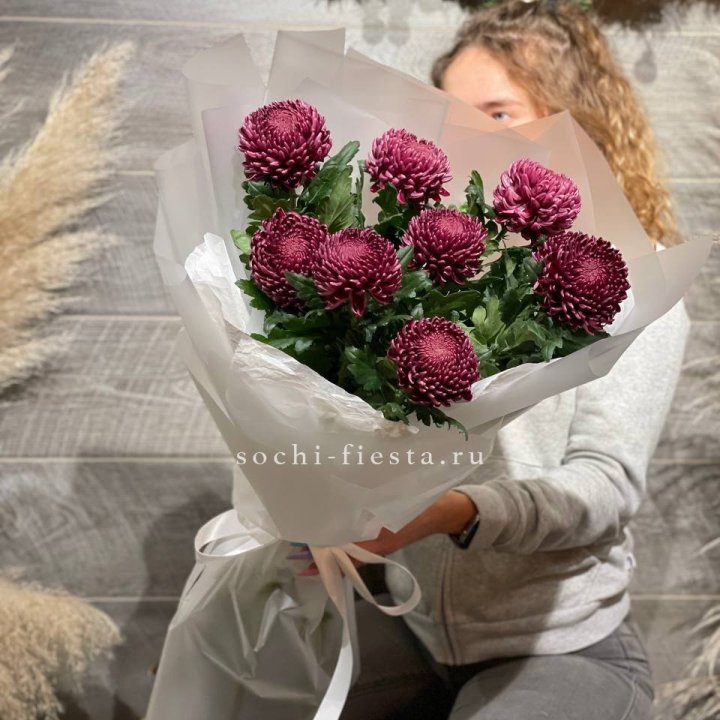 Хризантемы Бигуди в Чебоксарах