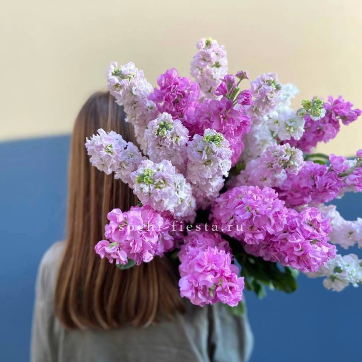 Охапка маттиолы в Чебоксарах