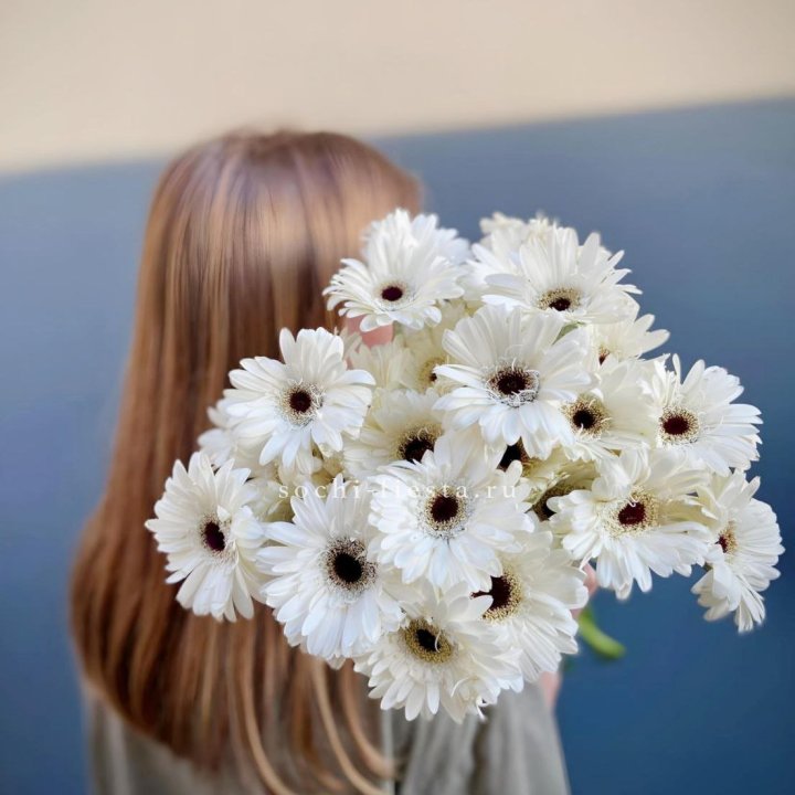 Охапка гербер в Чебоксарах