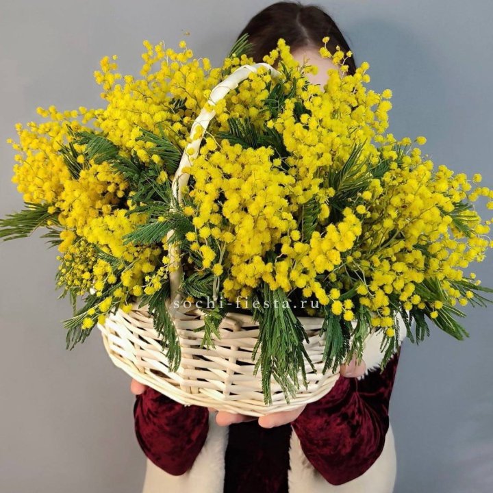 Корзина ароматной мимозы в Чебоксарах