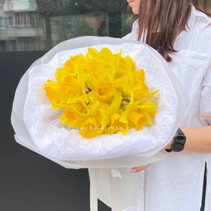 Нарциссы 25 шт в Чебоксарах