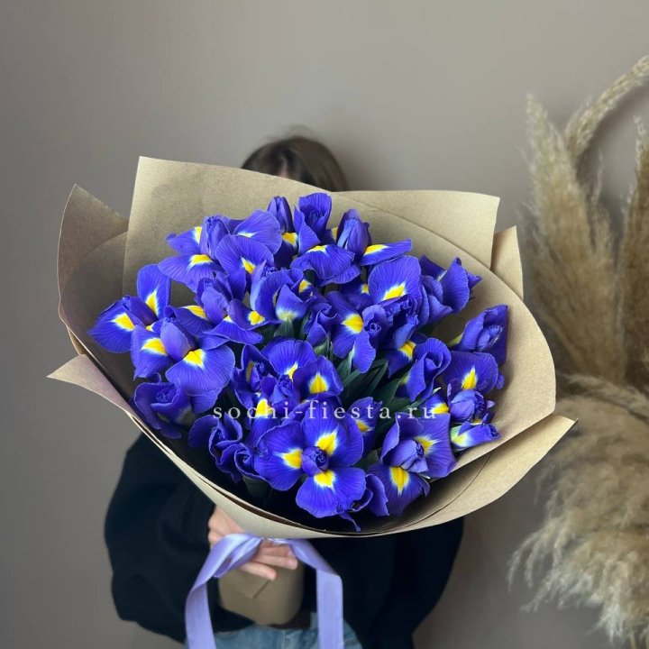 Ирисы в Чебоксарах