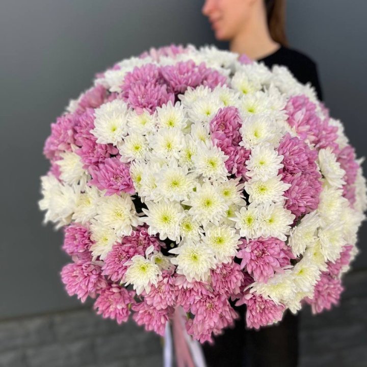  Букет 25 хризантем микс в Чебоксарах