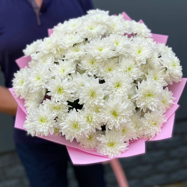  Букет 15 хризантем  в Чебоксарах