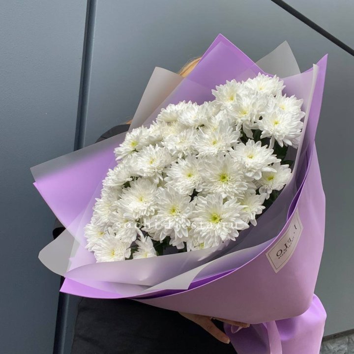  7 хризантем  в Чебоксарах