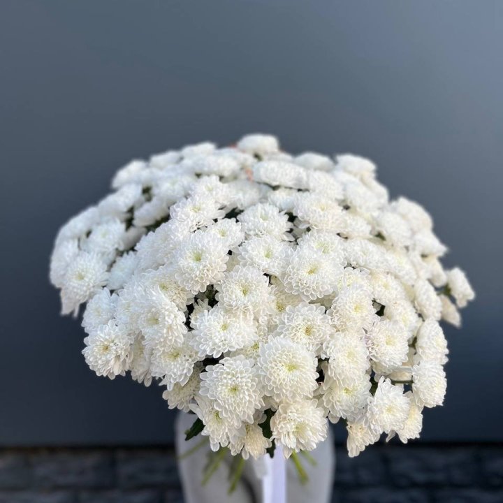  25 хризантем белых в Чебоксарах