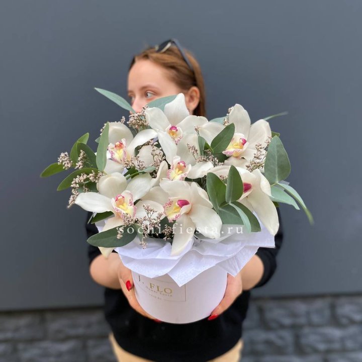 7 орхидей в боксе в Чебоксарах