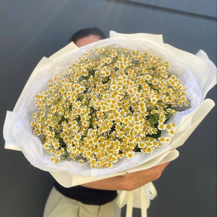 Букет ромашек №2 в Чебоксарах