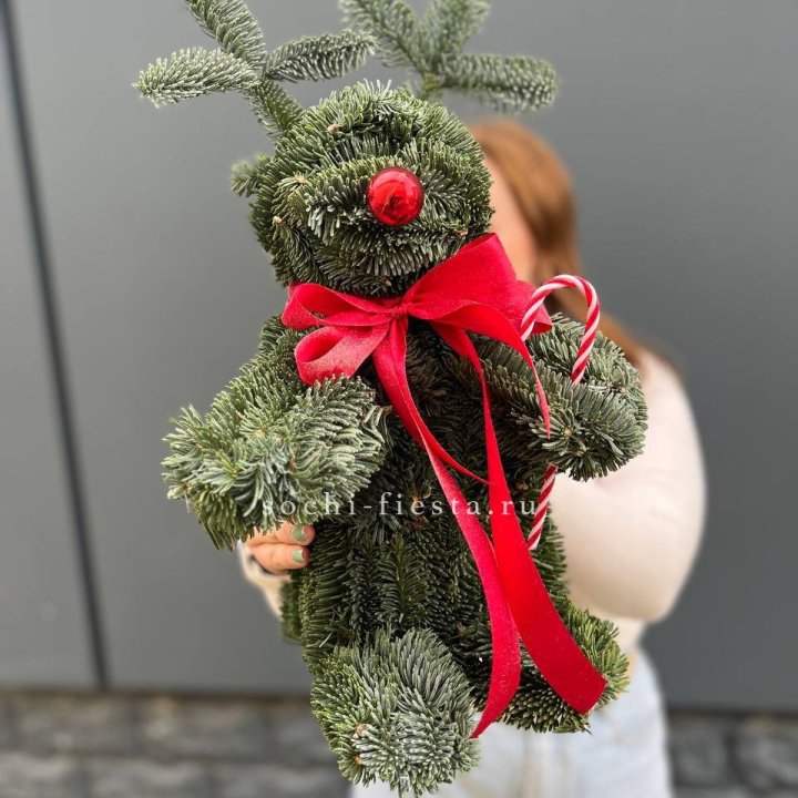 "Олень" из нобилиса в Чебоксарах