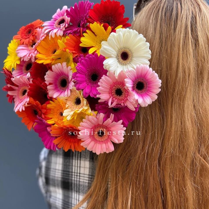 Охапка гербер  в Чебоксарах