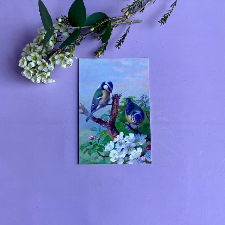 Открытка к букету "Птицы" в Чебоксарах