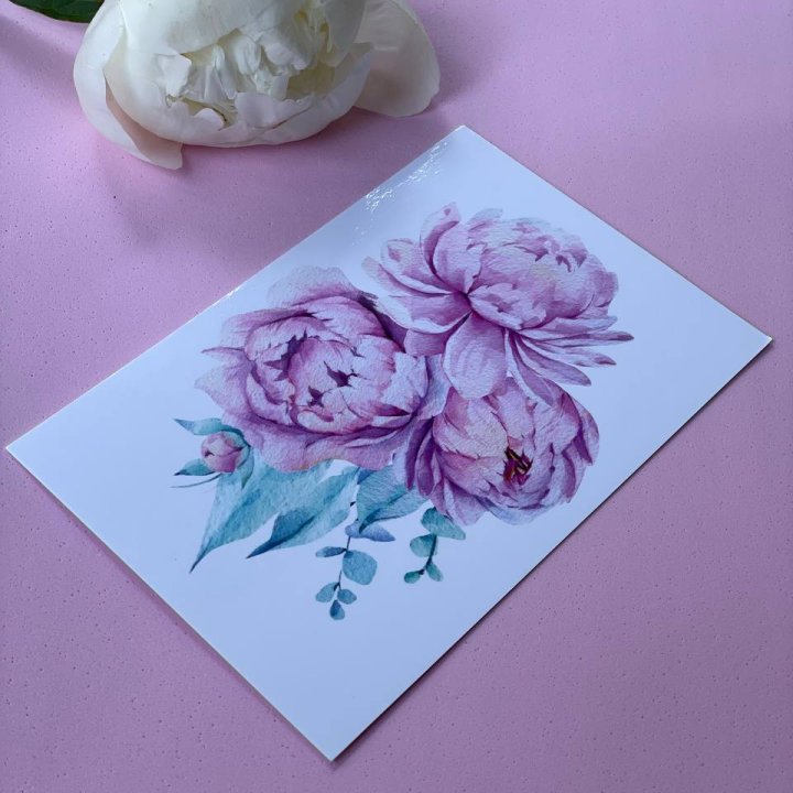 Открытка к букету "Пионы" в Чебоксарах