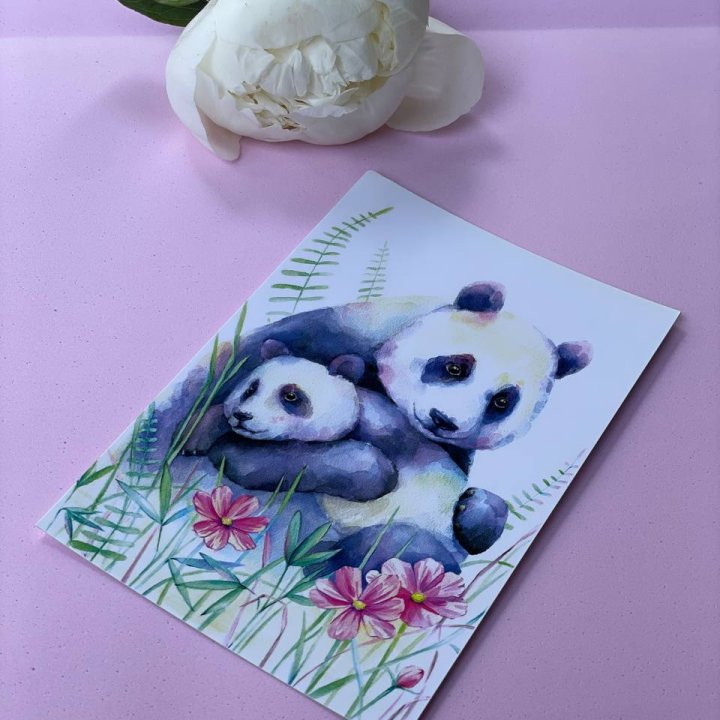 Открытка к букету "Объятие Панды" в Чебоксарах