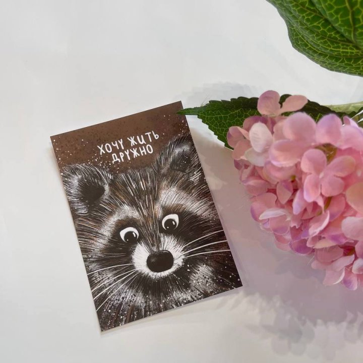 Открытка к букету "Енотик" в Чебоксарах