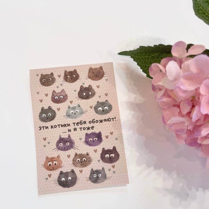Открытка к букету "Котики" в Чебоксарах