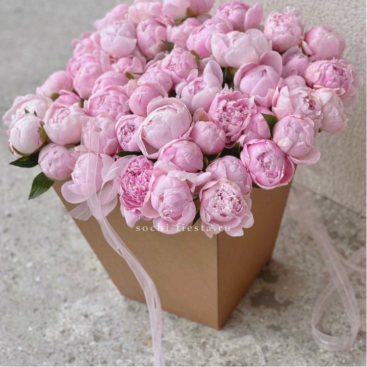 49 пионов в крафт коробке в Чебоксарах